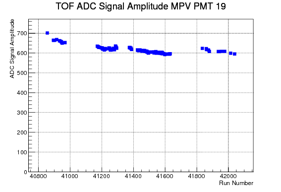 Pmt19 amplitude.gif