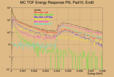 paddle 10 Energy Response